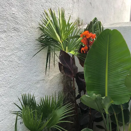 Апартаменты With Jardin Tropical Terrasse - Center - 150m *