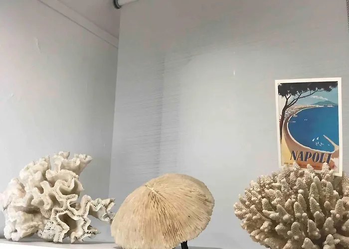 Апартаменты With Jardin Tropical Terrasse - Center - 150m Биарриц