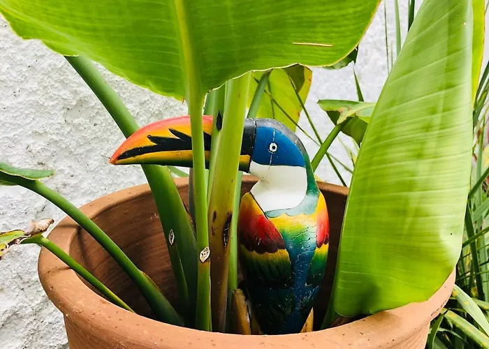 With Jardin Tropical Terrasse - Center - 150m Διαμέρισμα Μπιαρίτζ