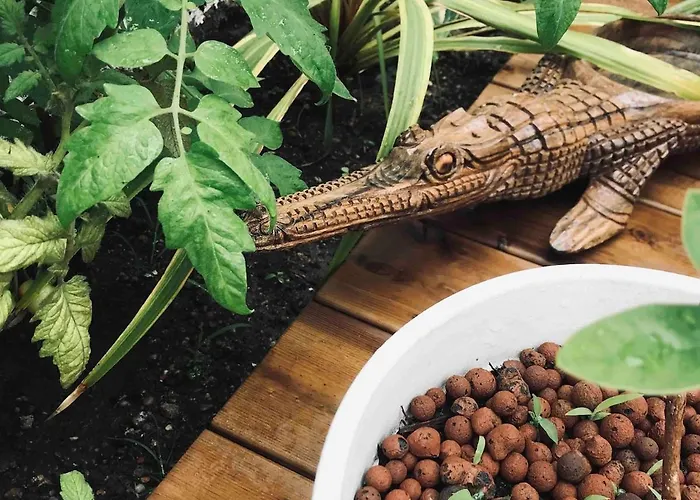 With Jardin Tropical Terrasse - Center - 150m Апартаменты