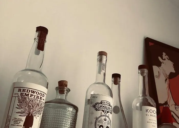 With Jardin Tropical Terrasse - Center - 150m Διαμέρισμα *