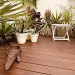 דירה With Jardin Tropical Terrasse - Center - 150m