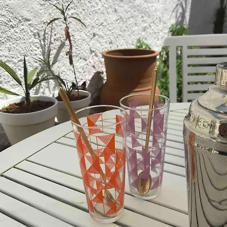 Apartamento With Jardin Tropical Terrasse - Center - 150m *