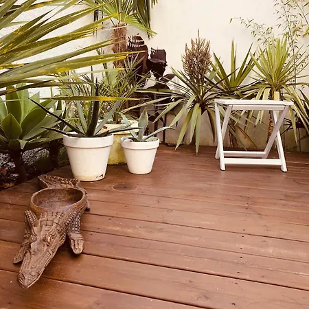 公寓 With Jardin Tropical Terrasse - Center - 150m