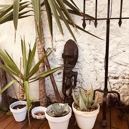 With Jardin Tropical Terrasse - Center - 150m * Biarritz