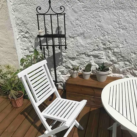 Apartment With Jardin Tropical Terrasse - Center - 150m *