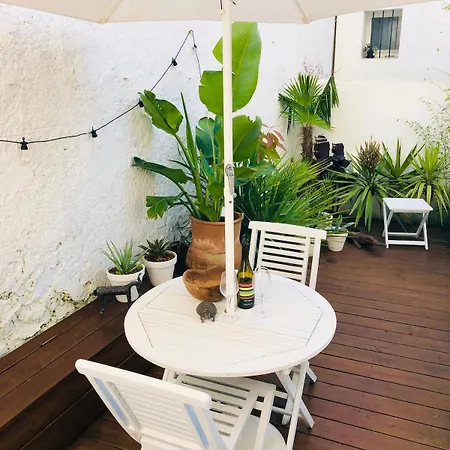 Apartment With Jardin Tropical Terrasse - Center - 150m