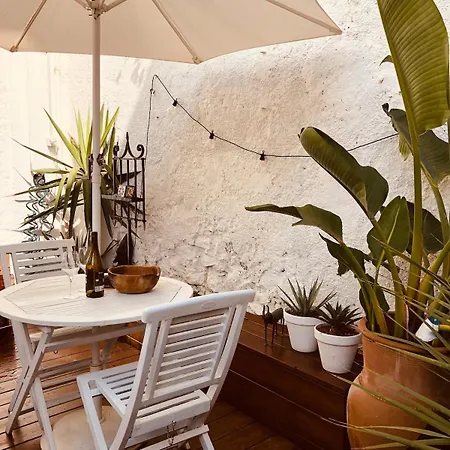公寓 With Jardin Tropical Terrasse - Center - 150m *
