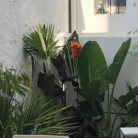 With Jardin Tropical Terrasse - Center - 150m