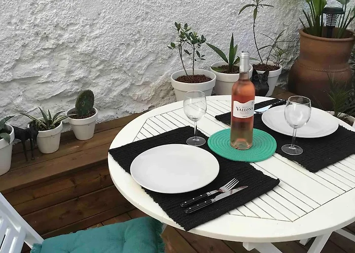 公寓 With Jardin Tropical Terrasse - Center - 150m