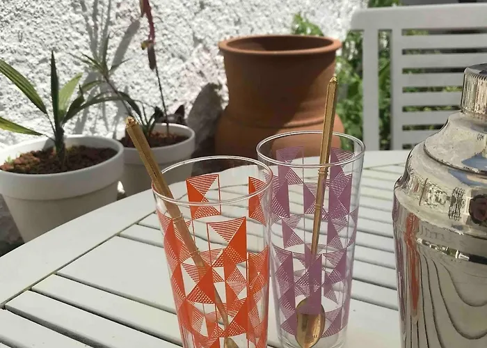 公寓 With Jardin Tropical Terrasse - Center - 150m *