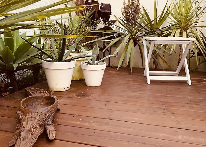 公寓 With Jardin Tropical Terrasse - Center - 150m