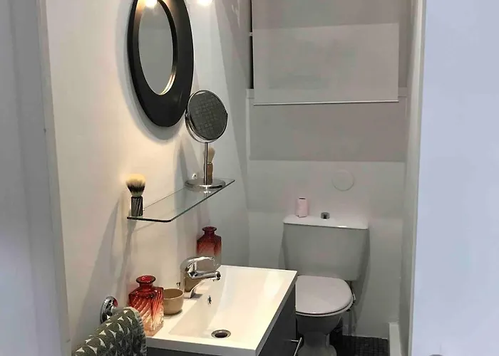 公寓 With Jardin Tropical Terrasse - Center - 150m