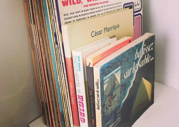 公寓 With Jardin Tropical Terrasse - Center - 150m