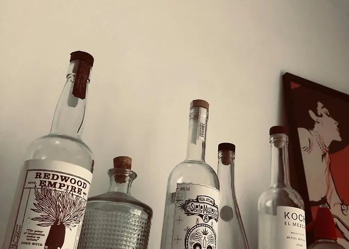 With Jardin Tropical Terrasse - Center - 150m 公寓