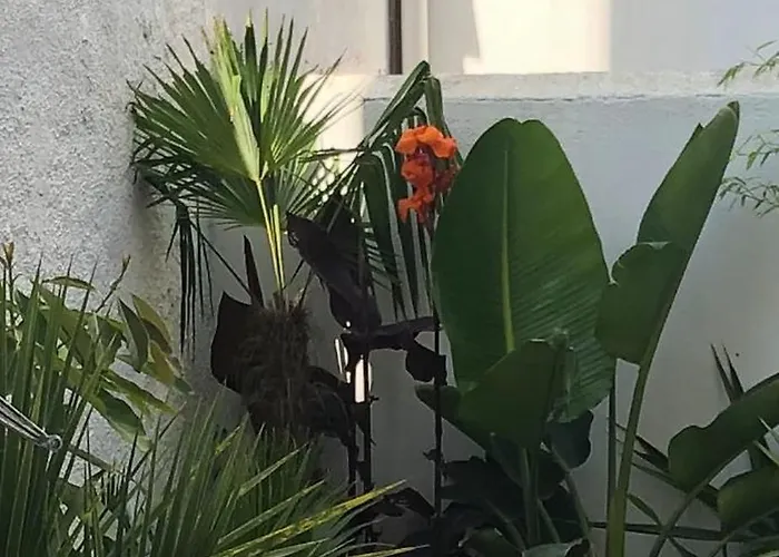 With Jardin Tropical Terrasse - Center - 150m